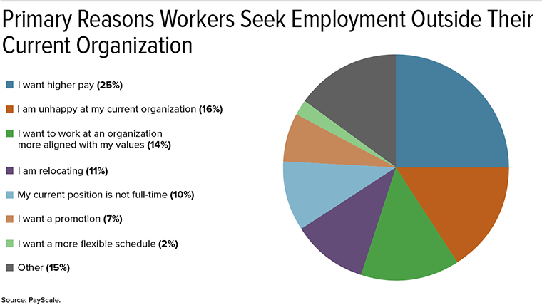 PayScale anketi